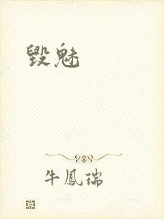毁魅