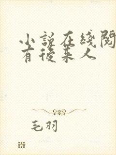 小说在线阅读还有后来人