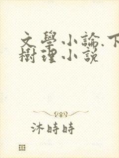 文学小论.下赵树理小说