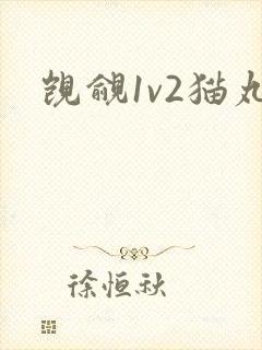 觊觎1v2猫丸封面