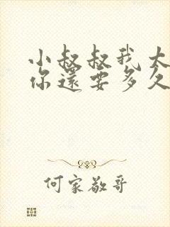 小叔叔我太累了你还要多久