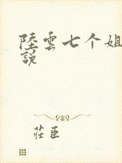 陆云七个姐姐小说封面