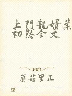 上门龙婿叶辰萧初然全文封面