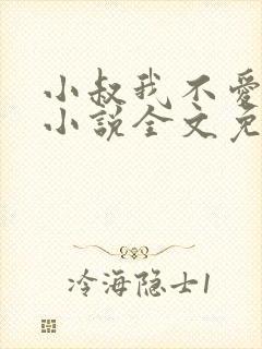 小叔我不爱你了小说全文免费阅读封面