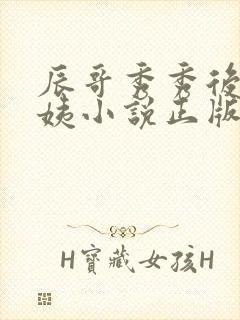 辰哥秀秀后妈丽姨小说正版阅读