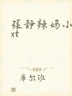 张静辣妈小说txt