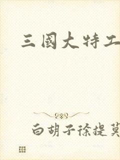 三国大特工