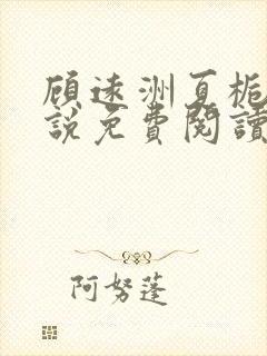 顾远洲夏栀栀小说免费阅读最新章节封面