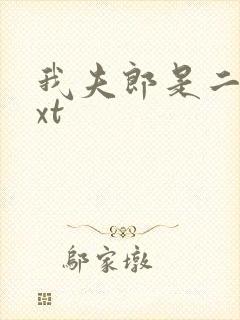 我夫郎是二嫁txt