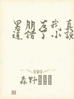 男朋友我真的知道错了小说笔趣阁封面