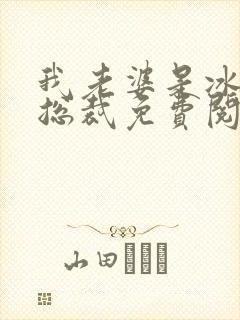 我老婆是冰山女总裁免费阅读最新封面