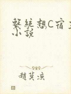 系统想C宿主的小说