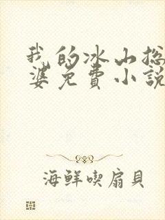 我的冰山总裁老婆免费小说