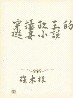 穿摄政王的侍爱逃妻小说