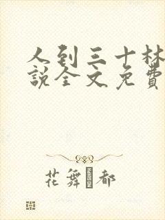 人到三十林晨小说全文免费阅读