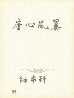 唐心风暴