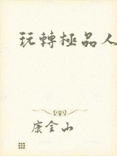 玩转极品人生封面