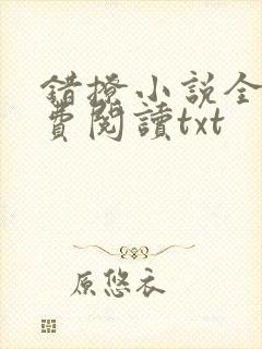 错撩小说全文免费阅读txt