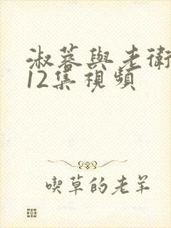 淑蓉与老卫1—12集视频