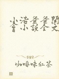小浩爸爸开家长会小说全文阅读