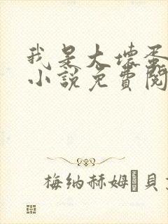 我是大坏蛋原著小说免费阅读