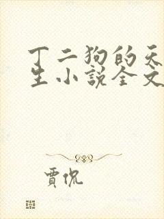 丁二狗的天梯人生小说全文免费阅读