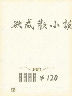 欲成欢小说