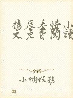 杨辰秦惜小说全文免费阅读完整版