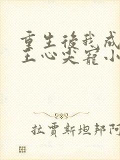 重生后我成了傻王心尖宠小说