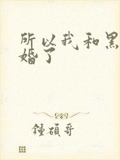 所以我和黑粉结婚了封面