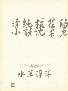清纯校花的日常小说沈柔免费阅读封面