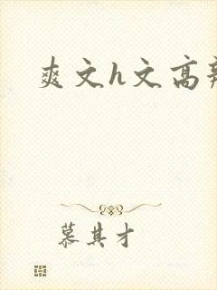 爽文h文高辣h