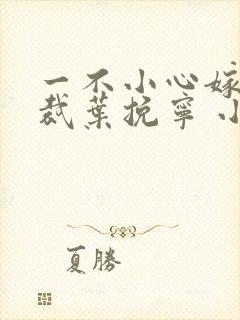 一不小心嫁了总裁叶挽宁 小说