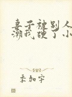 妻子被别人弄高潮我硬了小说