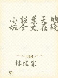 小说叶天明江暮婉全文在线阅读