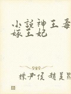 小说神王毒宠二嫁王妃