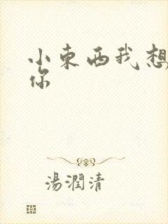 小东西我想弄坏你封面