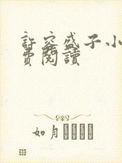 许容盛子小说免费阅读