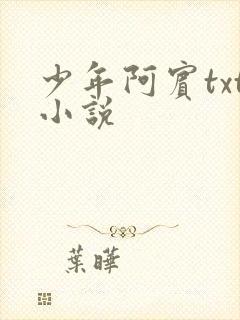 少年阿宾txt小说封面