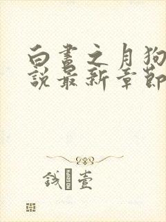 白昼之月狗子小说最新章节免费阅读封面