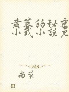 黄蓉的秘密大武小武小说免费阅读