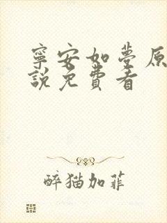 宁安如梦原著小说免费看