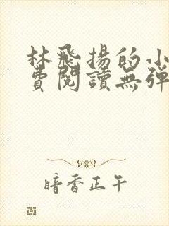 林飞扬的小说免费阅读无弹窗