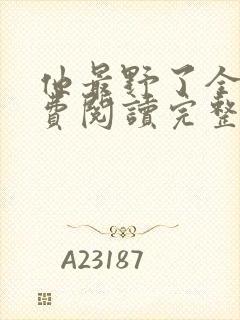 他最野了全文免费阅读完整版封面