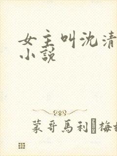 女主叫沈清漪的小说