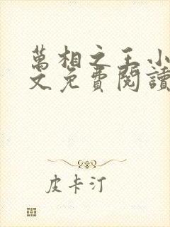 万相之王小说全文免费阅读无弹窗