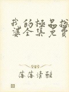 我的极品总裁老婆全集免费
