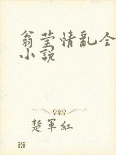翁莹情乱全部篇小说