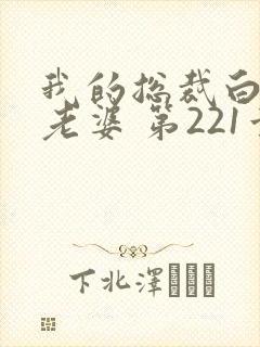 我的总裁白富美老婆 第221章