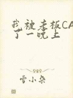 我被老板CAO了一晚上封面